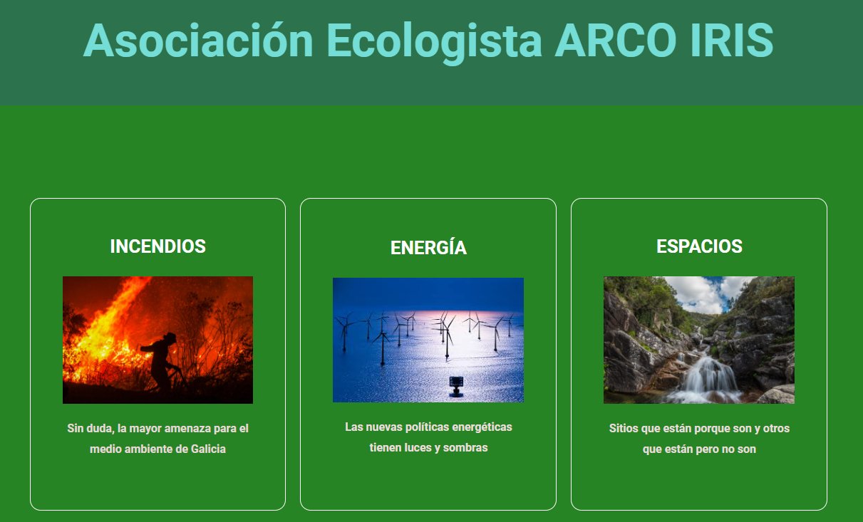 El cambio climático expandirá el eucalipto hasta en 300.000 has en Galicia  - Xornal Galicia | Xornal Galicia