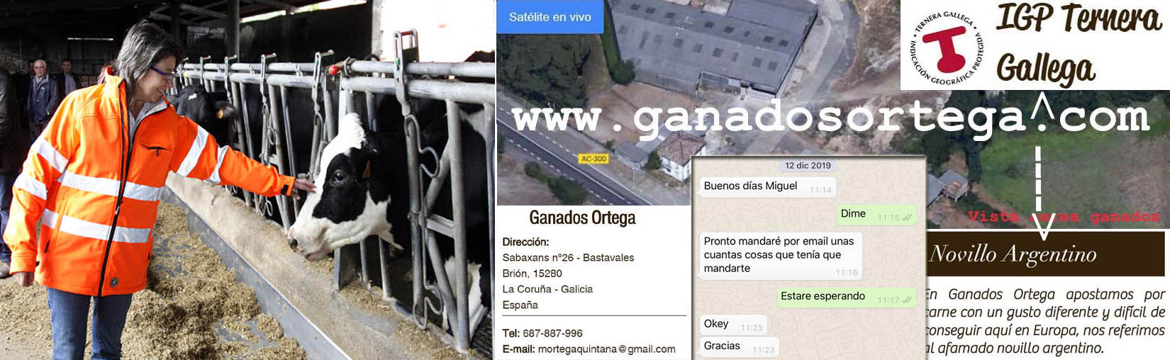 Xornal Galicia recibió una solicitud de auxilio por malos tratos de  presuntos inmigrantes ilegales y alojados en Ganados Ortega en Brión  propiedad del hijo de Rosa Quintana Conselleira do Mar, que ha