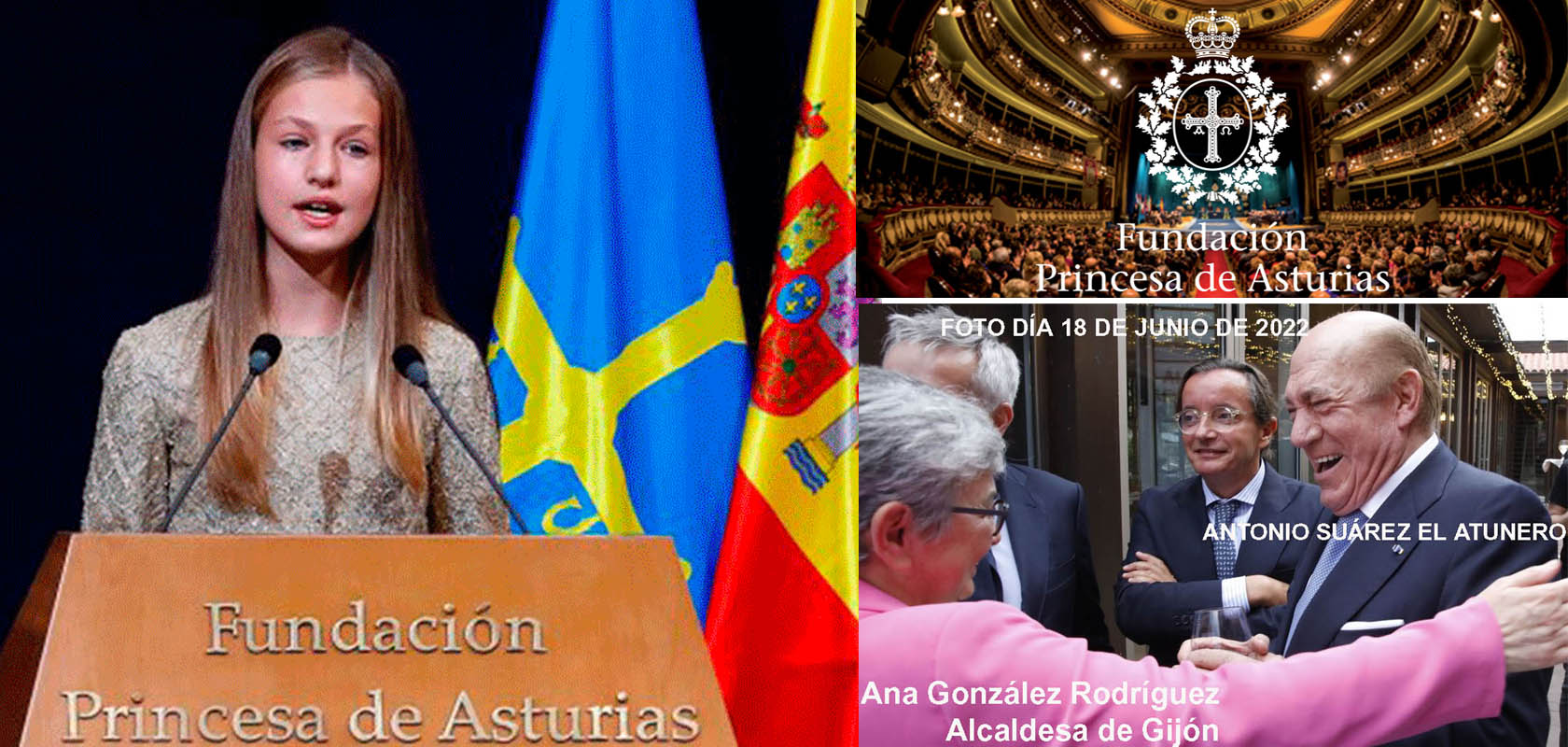 portada capitulo 1 fundacion princesa de asturias protector bajoindiciosdeactividadesilegalesanivelinternacional