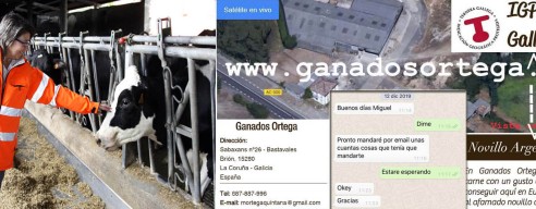 Xornal Galicia recibió una solicitud de auxilio por malos tratos de presuntos inmigrantes ilegales y alojados en Ganados Ortega en Brión propiedad del hijo de Rosa Quintana Conselleira do Mar, que ha declinado aclarar y responder..